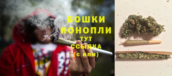 бутират Инсар