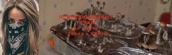 МДПВ Инта