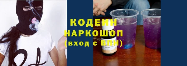 МДПВ Инта