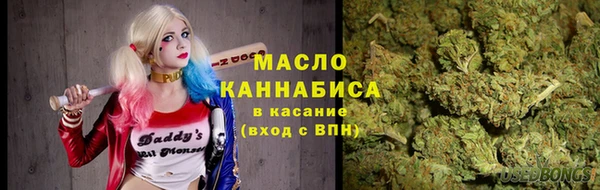 МДПВ Инта