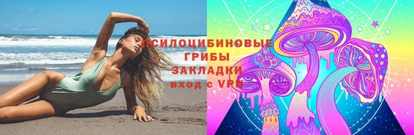 бутират Инсар